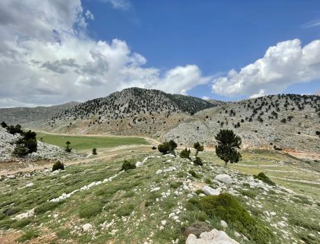 Girdev Gediği