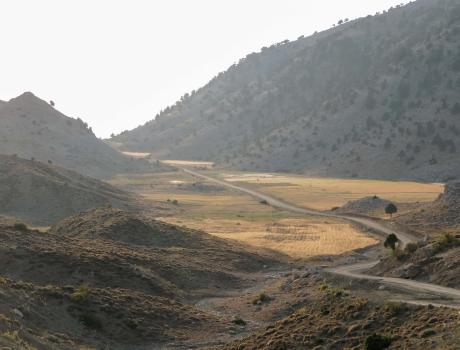 Tezli Yaylası